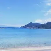 まぎまぎの画像