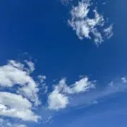 ちーの画像