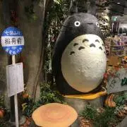 くまきちの画像