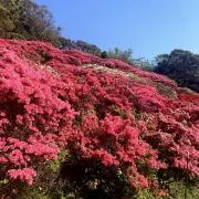 azストア　遊びものや子供服やの画像