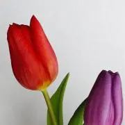 なっとの画像