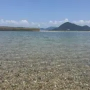 eeeの画像