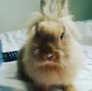 よっちゃん