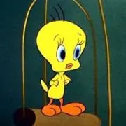 ♬の画像