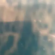 たえこの画像