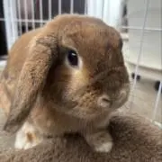Mの画像