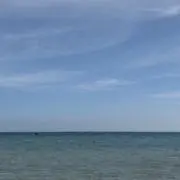 おちびの画像