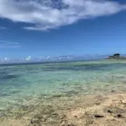 るるんの画像
