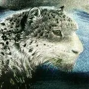 ヒロポンの画像