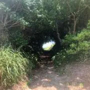 オズコープ