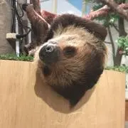さやかの画像