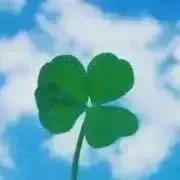 R✩︎⡱の画像