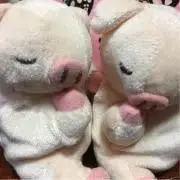 ぶーこの画像