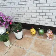 こまつzの画像