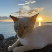 まっつんの画像