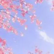 seri