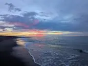 虎哲