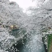 にこ☻の画像