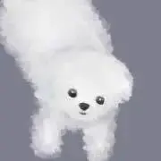 ぴよの画像