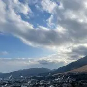 bonの画像