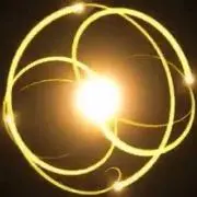 志保