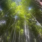 月