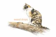 wood dropsの画像