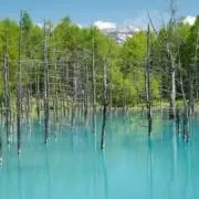 梨沙の画像