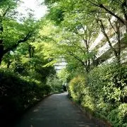 Kの画像