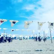 Masaの画像
