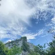 PNの画像