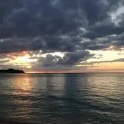 seaの画像