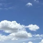 リン 無言取引OKの画像
