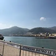 とらちゅころの画像