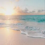 8の画像