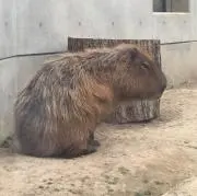 ユーキド