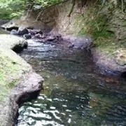 いち