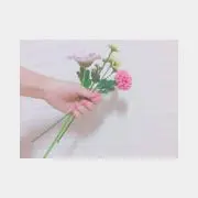 ❤︎❤︎❤︎