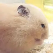 じゅん~♪