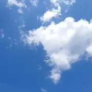GNU7AMORCE9の画像