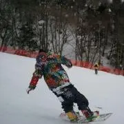 JSLV