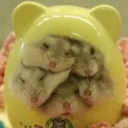 M♪の画像