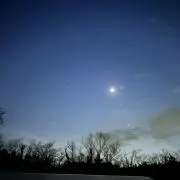 まの画像