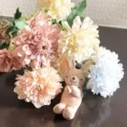 aiaiの画像