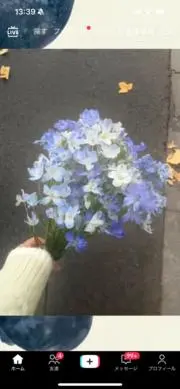 ぱゆ