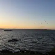 sananの画像