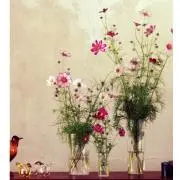 Beenの画像