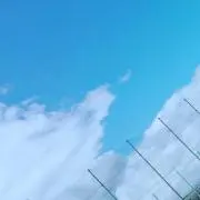 きてこま