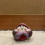 みの画像