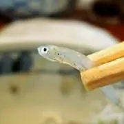 しらすの画像